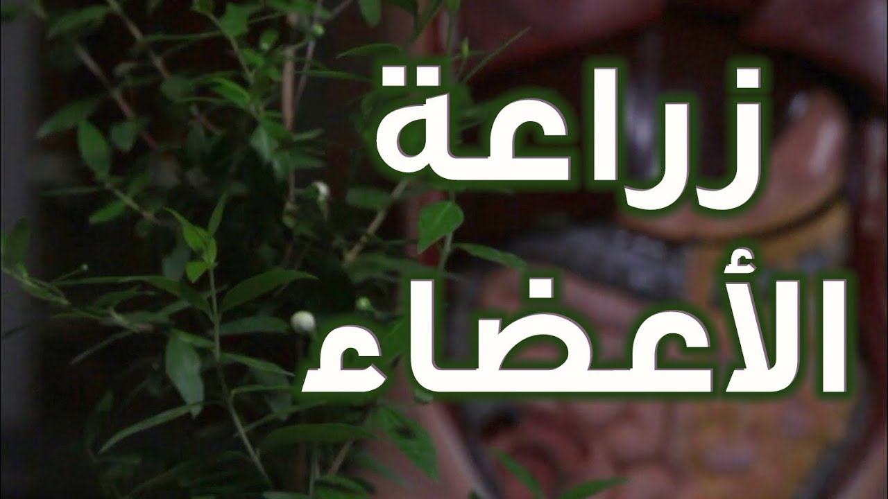 كيف تتم آلية التبرع بالأعضاء؟