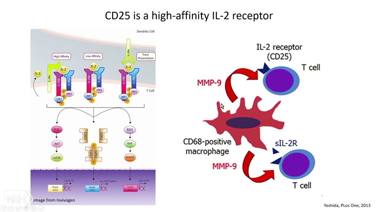 Biomarker Boot Camp: Still&rsquo;s and Cytokine Storm