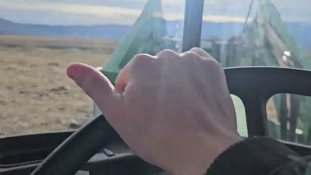 Feeding bulls with the JD 2955