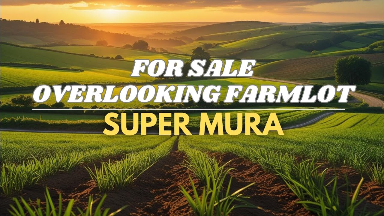 #0128 OVERLOOKING FARM LOT FOR SALE | SUPER MURA & VERY RELAXING NG AMBIANCE