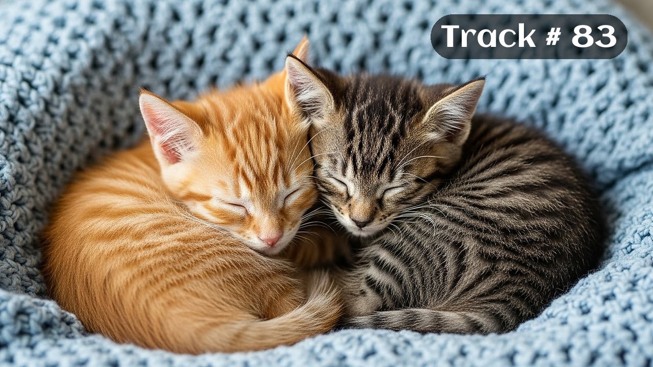 [Sleepy Cats Piano #83] Calm Piano for Relaxing Cat Sleep