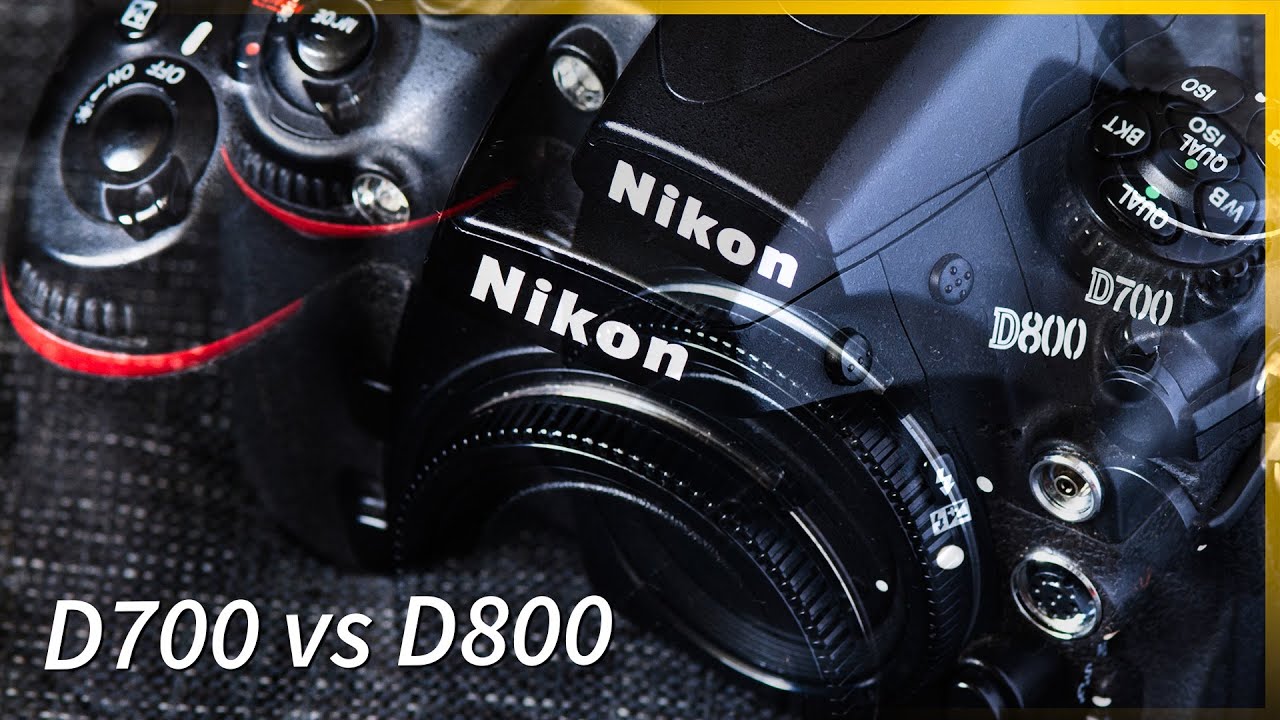 Nikon D700 против D800 — у какой камеры лучше цвета?