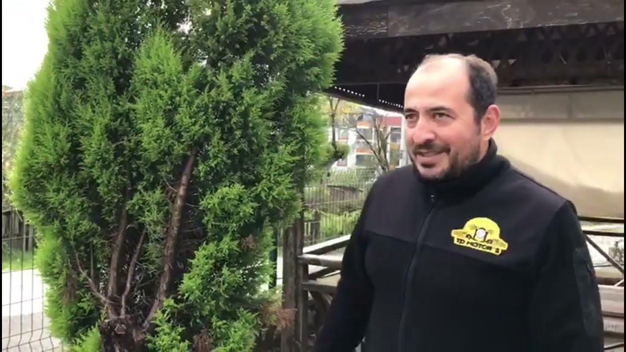 Dalından limonları topladık.Selvi çam'ın geri dönüşümü