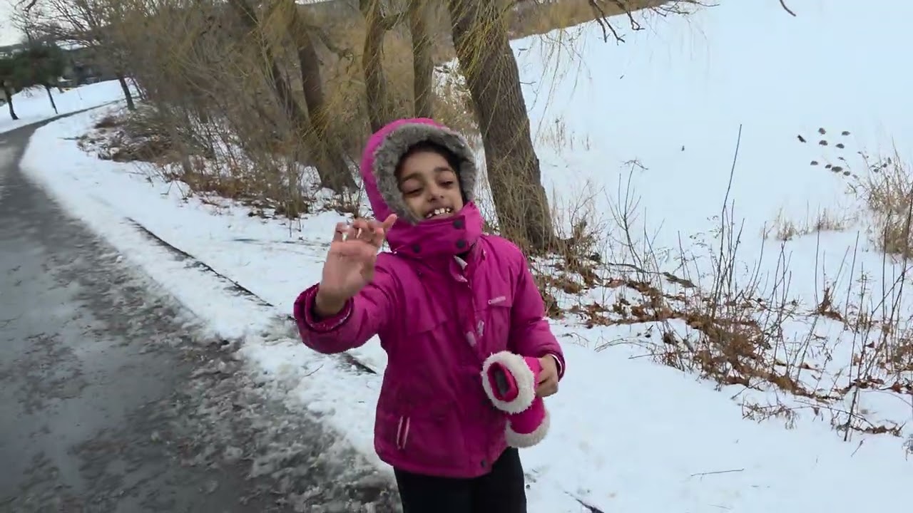 Canada Winter  Daily routine Day 1 #explorecanada #canadapr #canadavisa #canadalife #canadavlogs 