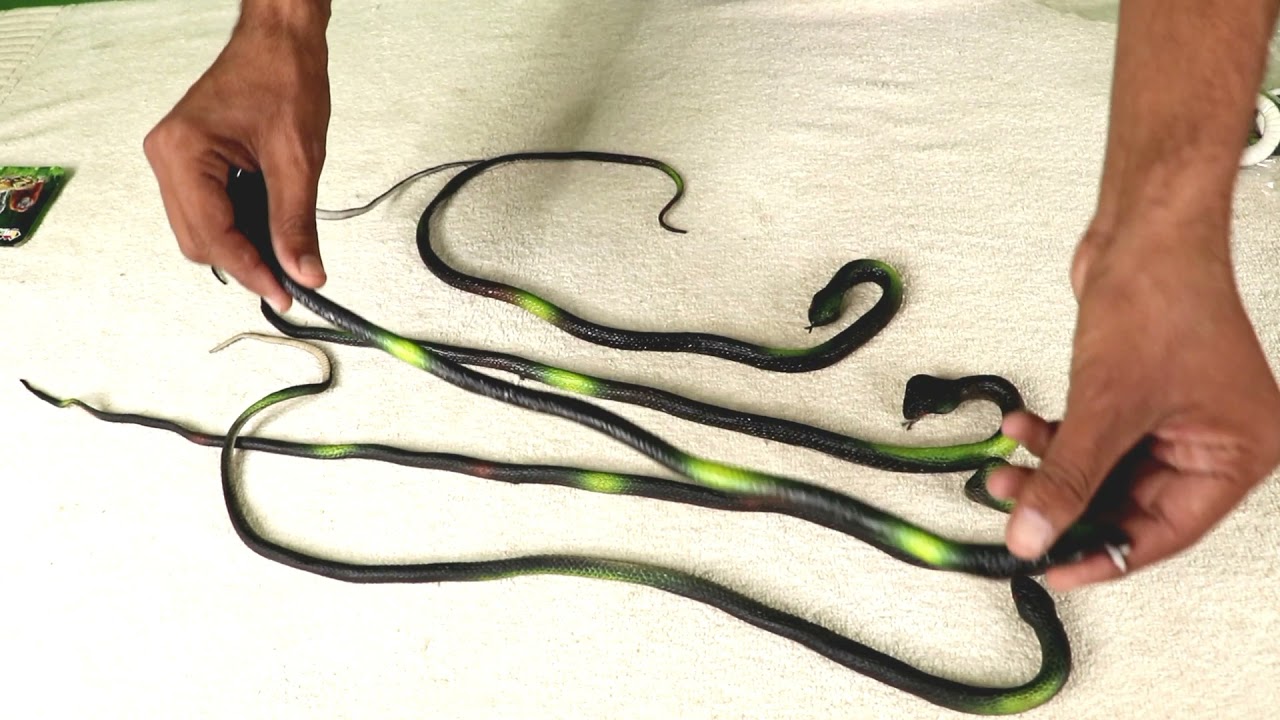 plastic snake toy unboxing, amazon order, amazon order snake anaconda, cobra