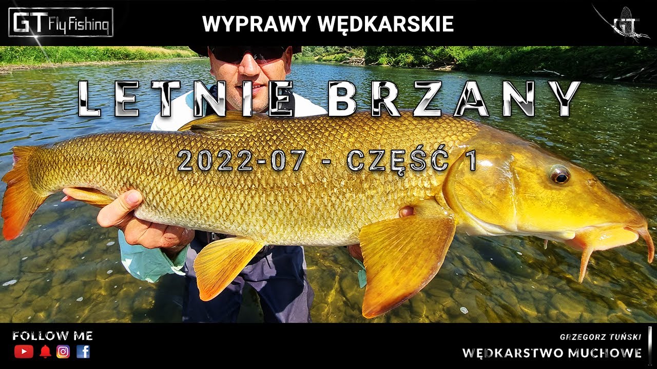 Letnie brzany na muchę - BASIEŃKI - cz.1