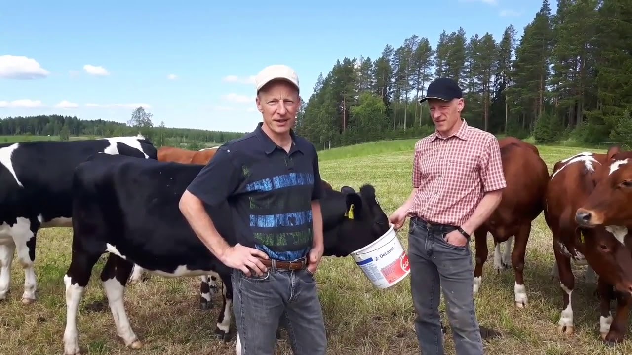 Avoimet ovet 2018 - Tuomelan tila, Pihtipudas Muurasj&auml;rvi