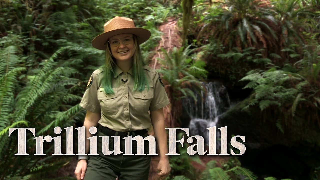 Iconic America: Trillium Falls