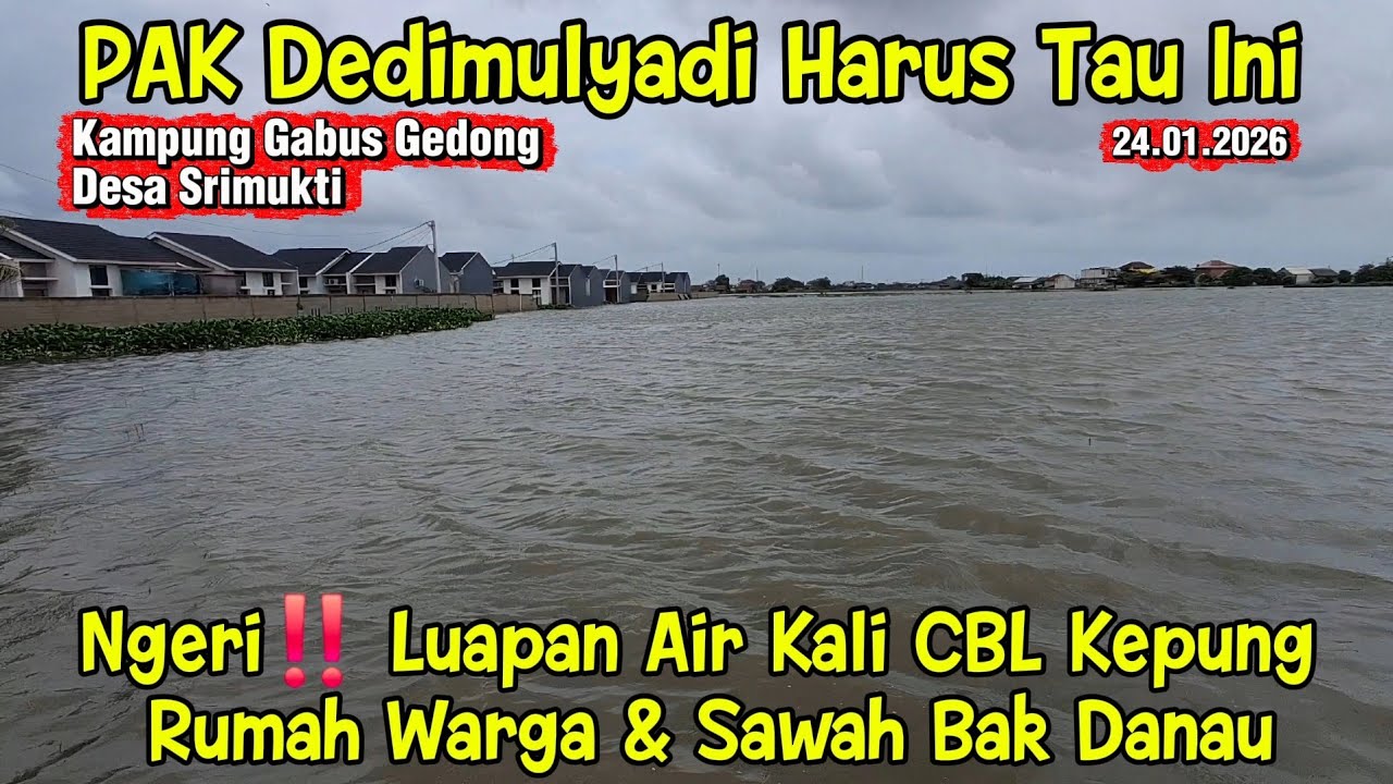 Ngeri‼️ Luapan Air Kali CBL Kepung Rumah Warga & Sawah Bagai Danau #dedimulyadi