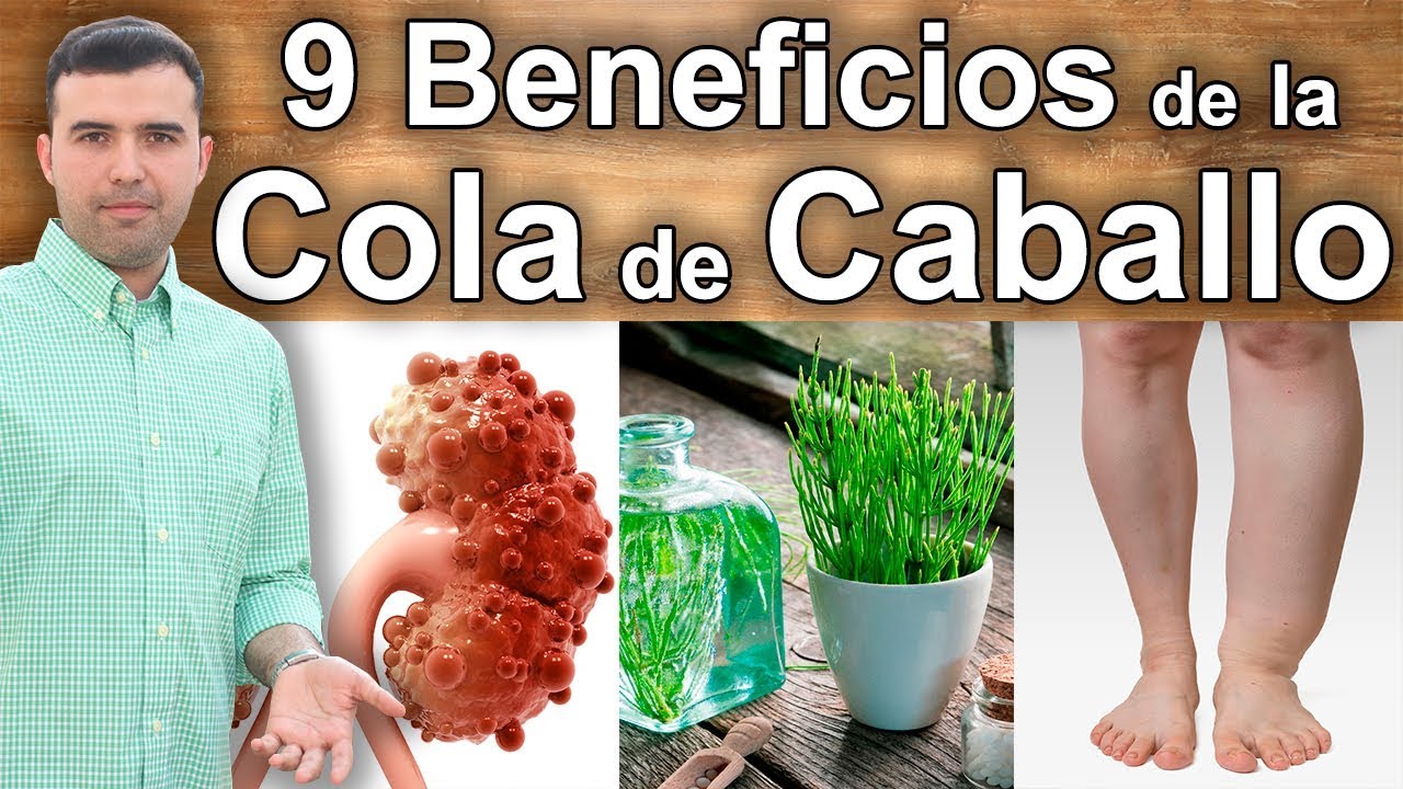 Para que Sirve la Cola de Caballo - 9 Propiedades y Beneficios Para la Salud