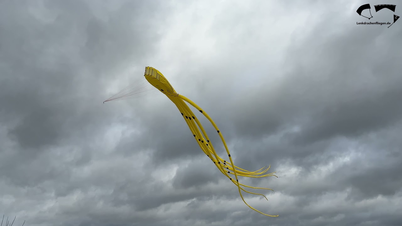 Octopus Einleiner Showkite