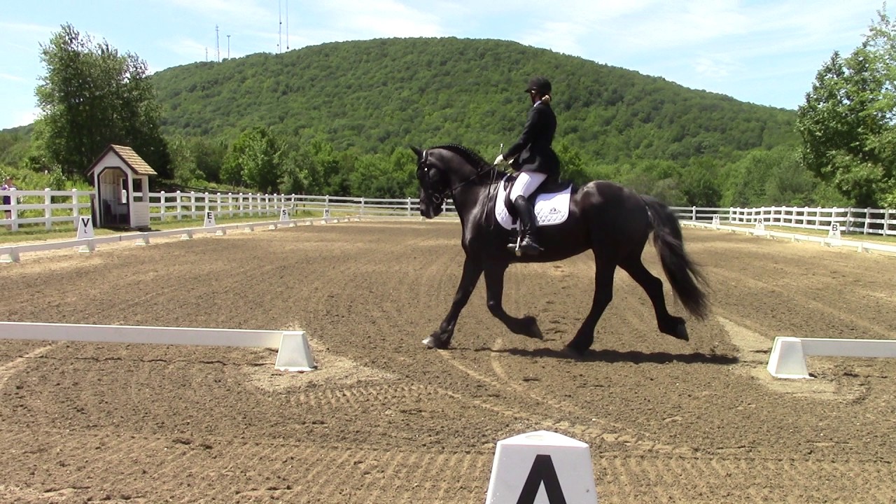 First Level Dressage Musical Freestyle - Sandra Beaulieu and Friesian horse Douwe - Outlander Theme