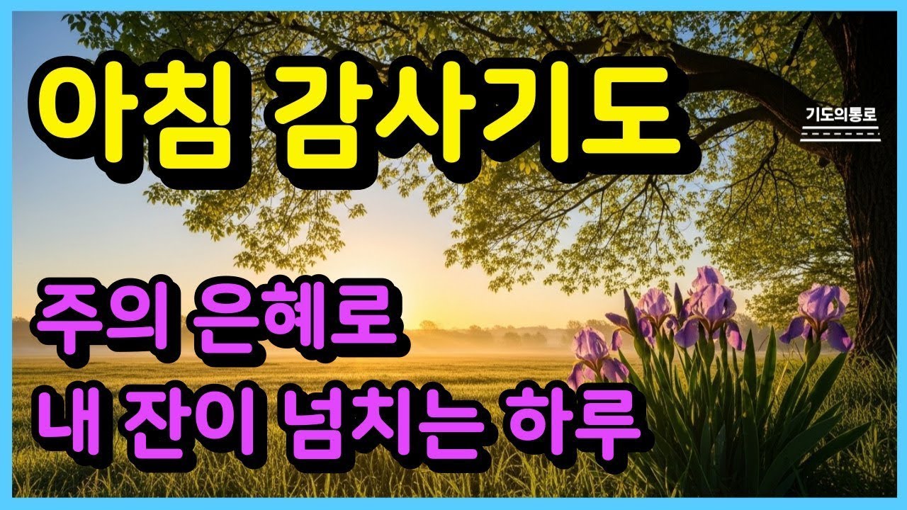 아침감사기도ㅣ주의 은혜로 내 잔이 넘치는 하루ㅣ아침기도ㅣ하루를 시작하는 기도ㅣ아침을 여는 기도