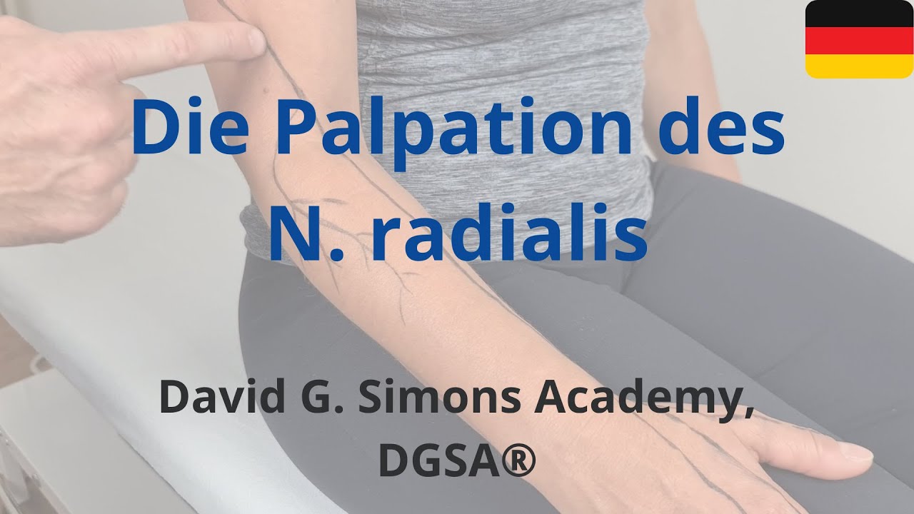 Die Palpation des N. radialis