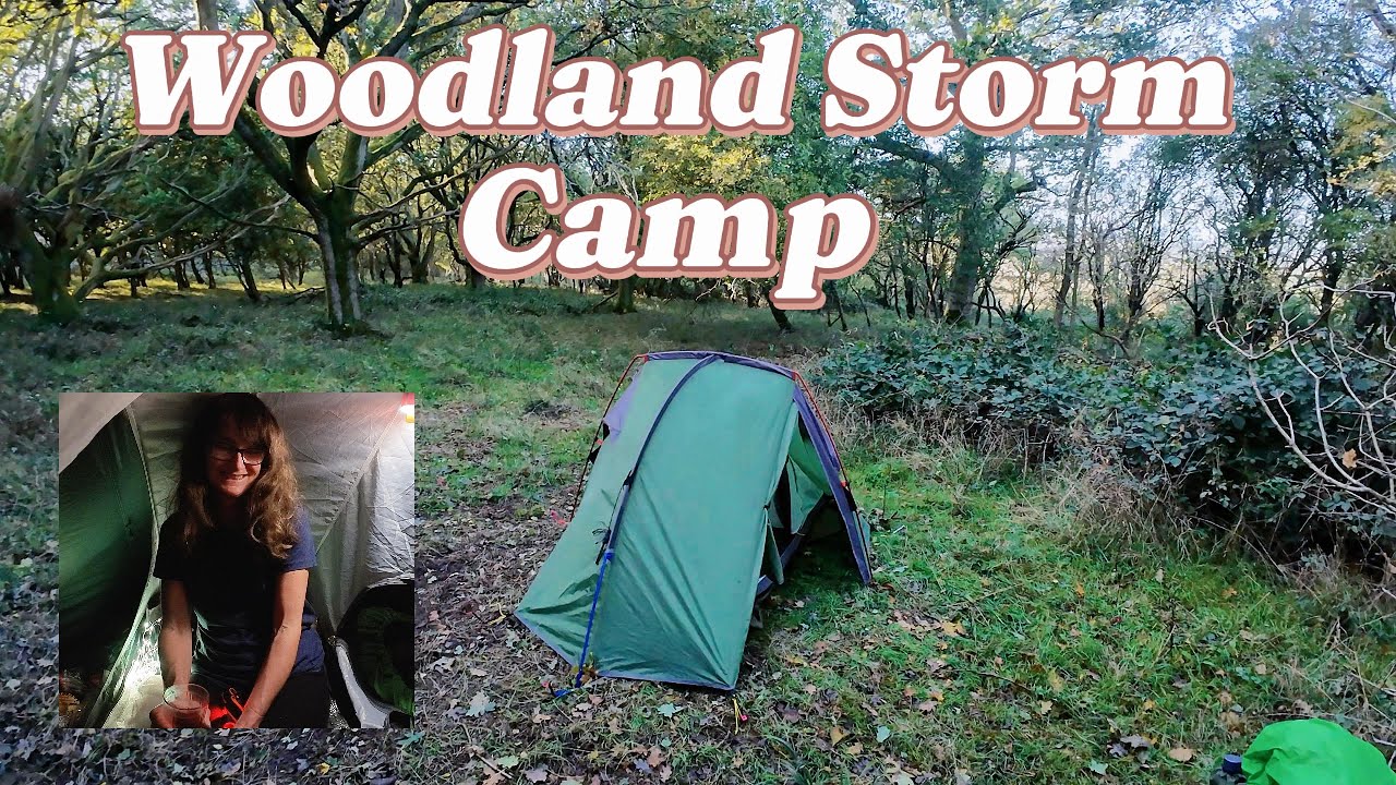 Chilterns woodland camp in Storm Amy