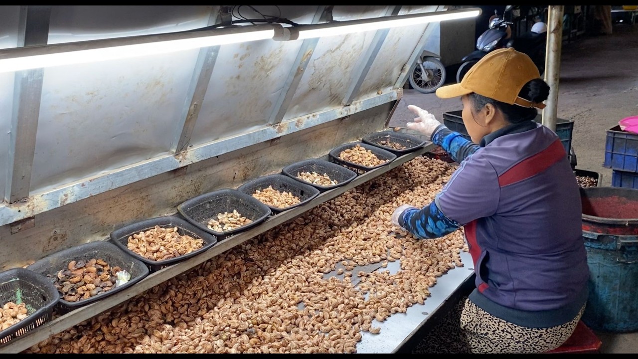Quy trình sản xuất hạt điều rang muối - Món quà tặng Tết ý nghĩa từ nông sản Việt.