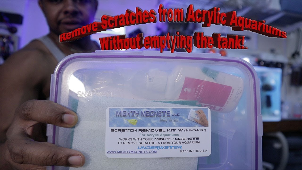 Acrylic aquarium scratch repair without emptying the tank.