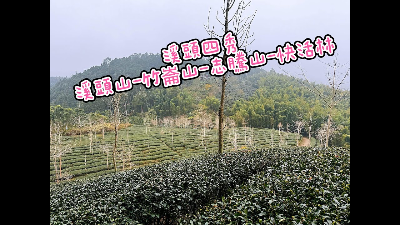 【山生有幸】《溪頭四秀 : 溪頭山 - 竹崙山 - 志騰山 - 快活林》