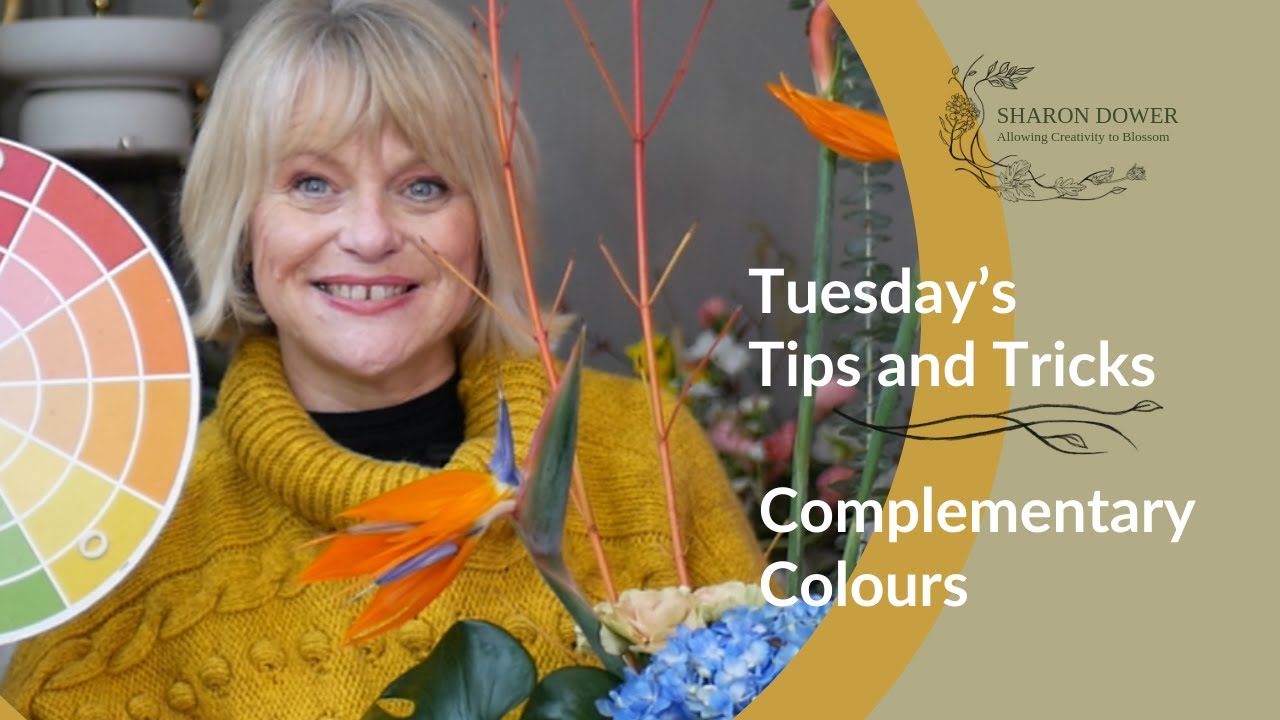 Tip and Tricks Tuesday - Lets Chat about Complementary Colours