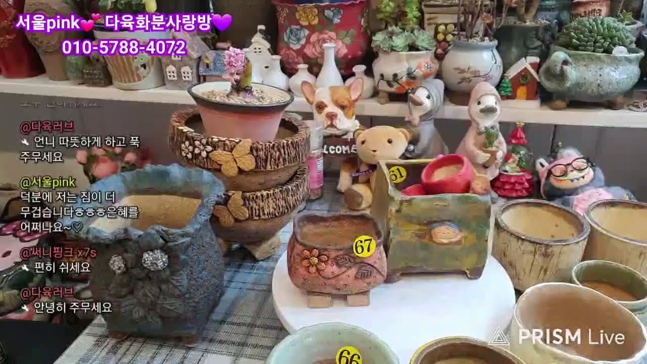서울pink💕 다육화분 사랑이야기💕