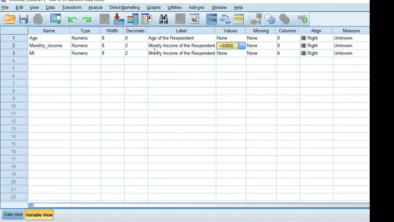 SPSS Variables