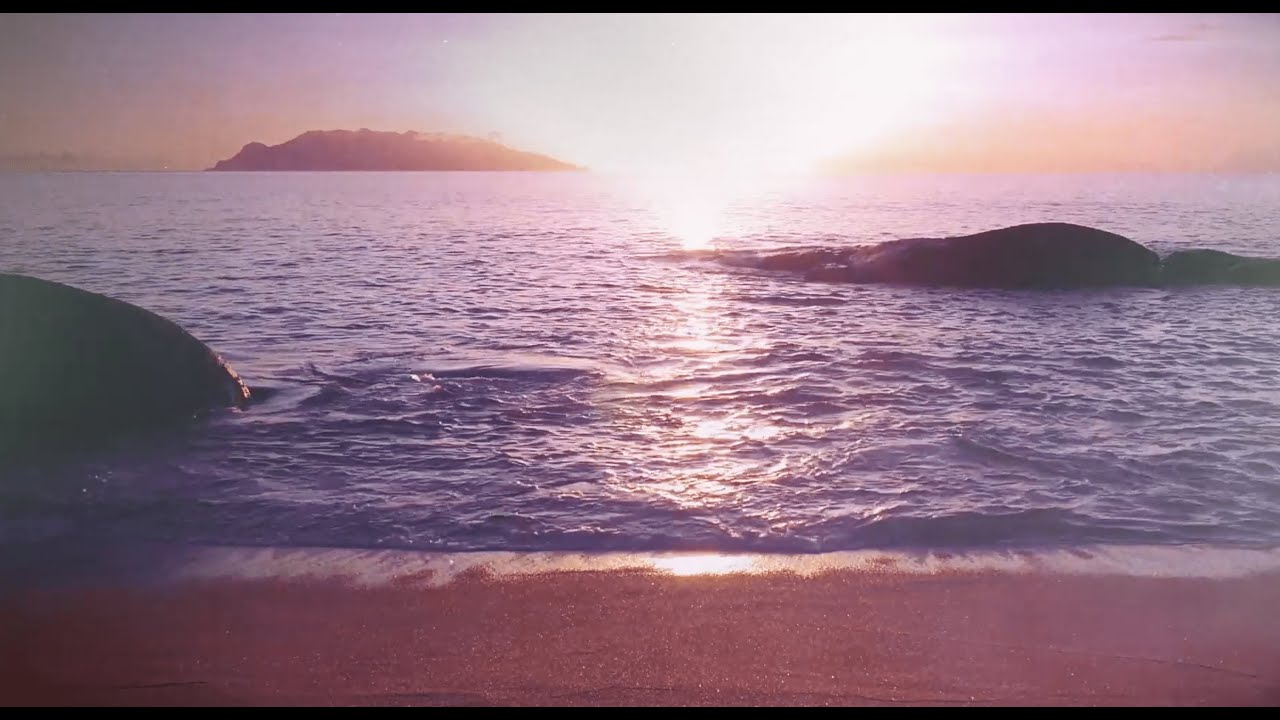 Franux BB - Sola