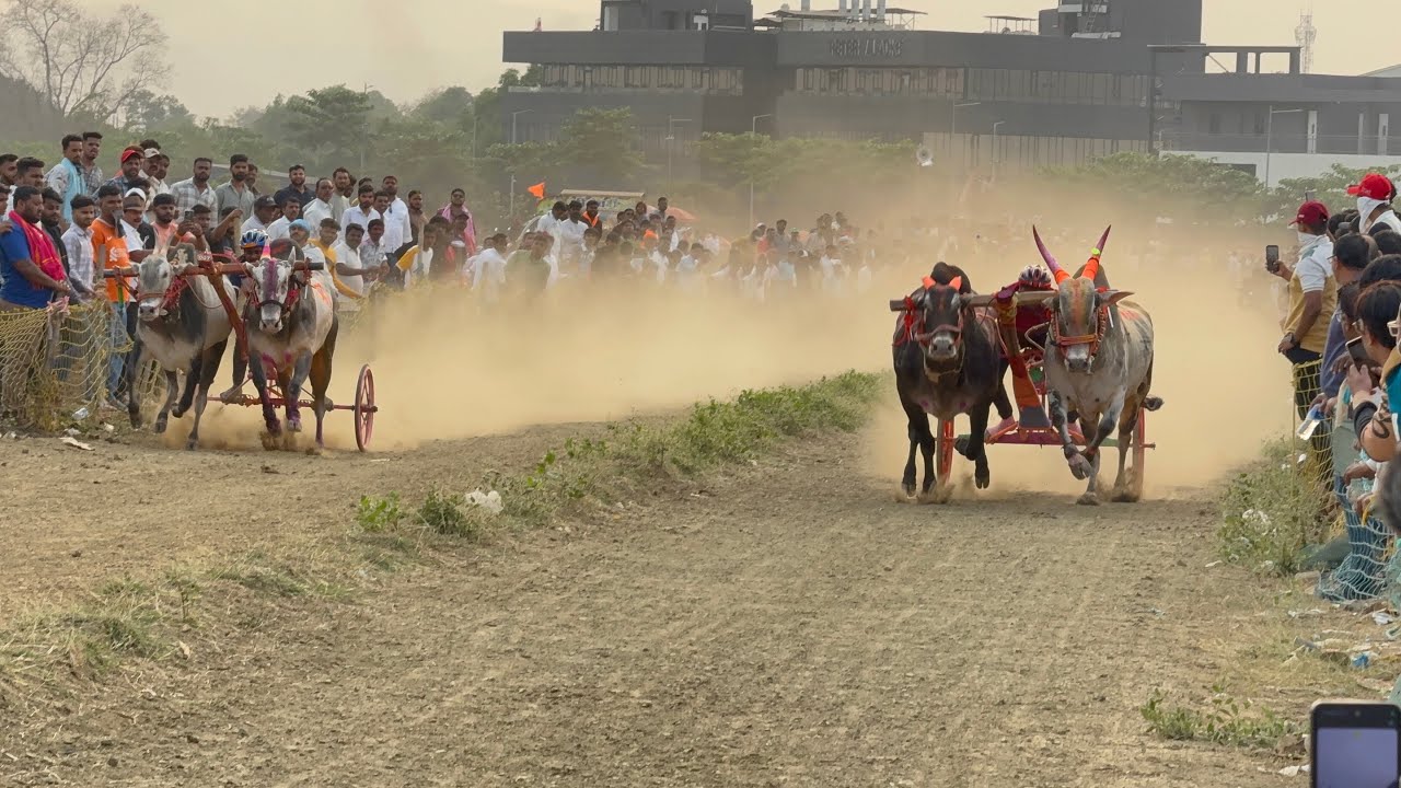 मथुर 🆚 चंदर 