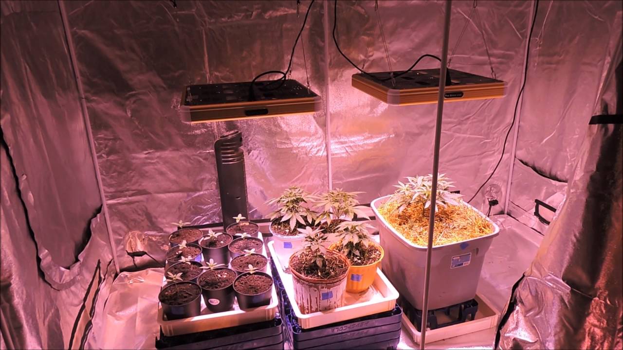 Veg Update & Changes again!