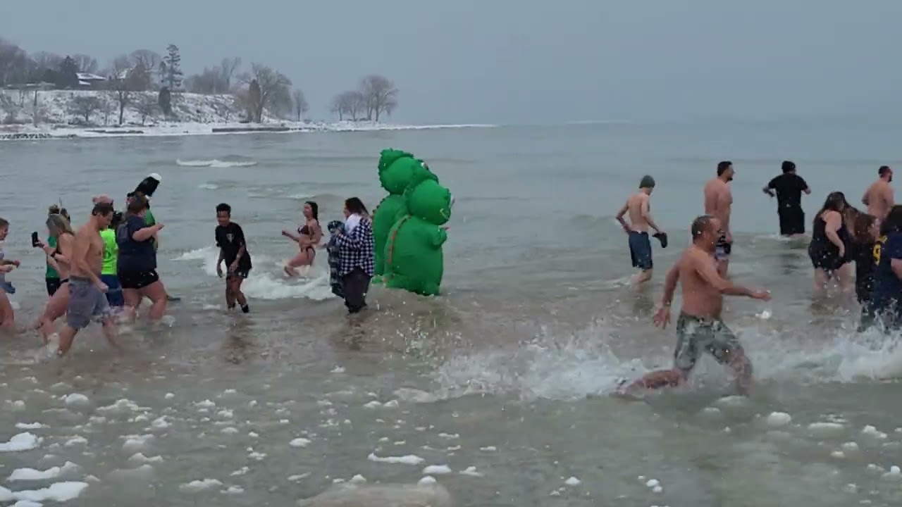 Polar bear 🐻‍❄️ plunge Sheboygan wi 
