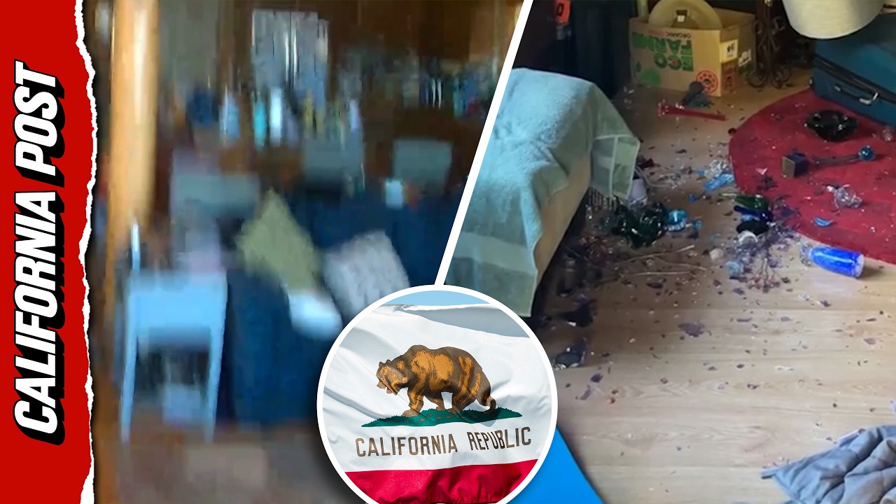 Major Earthquake Rocks Northern California Leaving Residents 'Shaken'