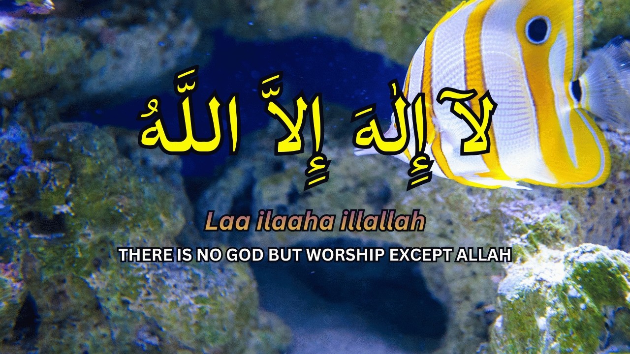 Calm Daily Dzikir LAILAHAILLALLAH for Stress Free Reflection