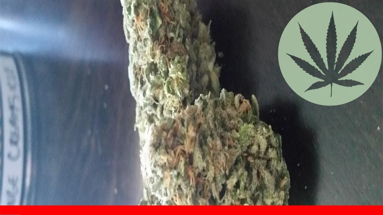 Orange Creamsicle - All About This Strain