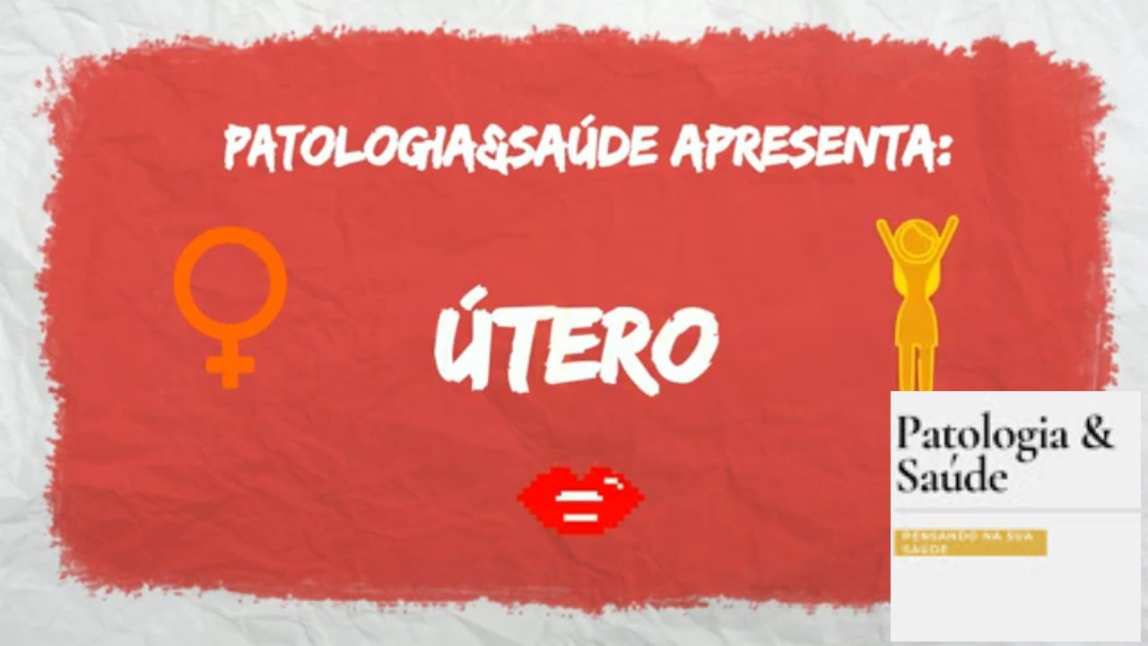 Histologia do Sistema Reprodutor Feminino - Útero