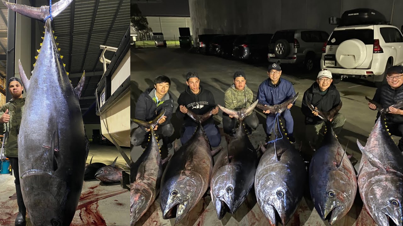 800kg of GIANT BLUEFIN TUNA!! (Most insane fishing trip)