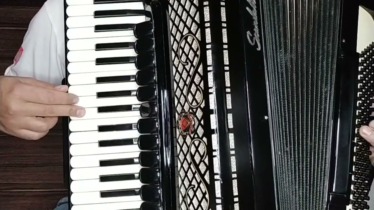 Vídeo Aula Acordeon 