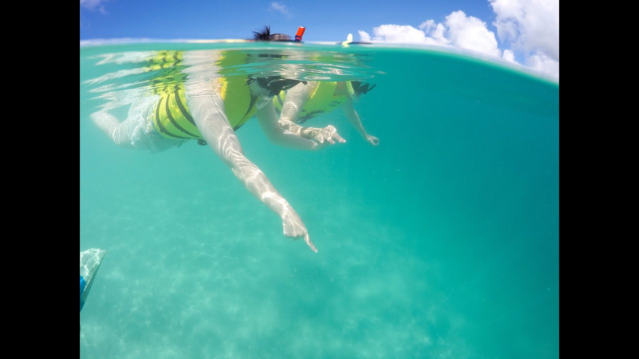 CAPTAINBRUCE Kaneohe Sandbar Tour