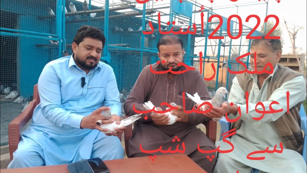 چمپئین سیالکوٹ چیتر 2022اُستاد ملک راحت اعوان چمپئین چھت 