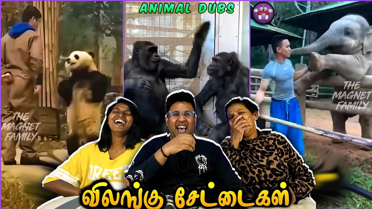 Funny Animal Dubbing Reaction 😂 | Ramstk Family@themagnetfamily2.0