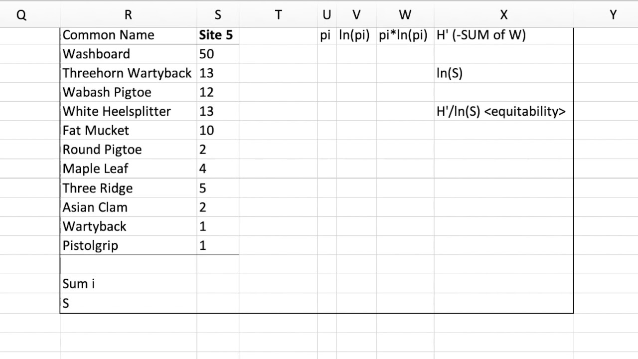 Shannon Diversity and Equitability calculation in Excel – freshwater mussel data.