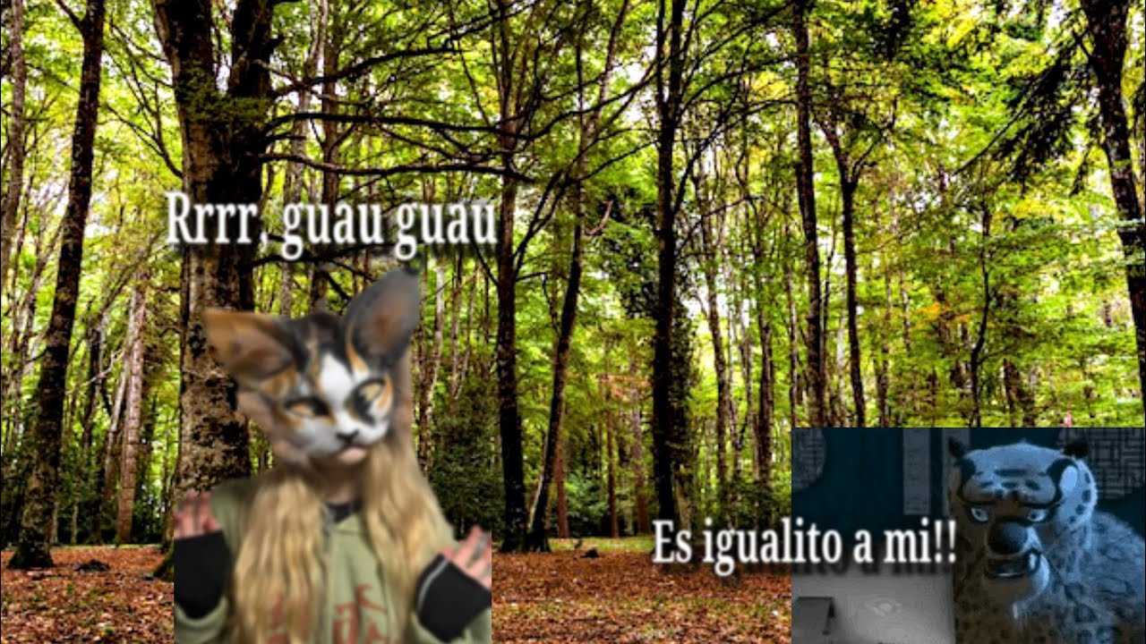 ARGENTINA SE CAE A PEDASOS