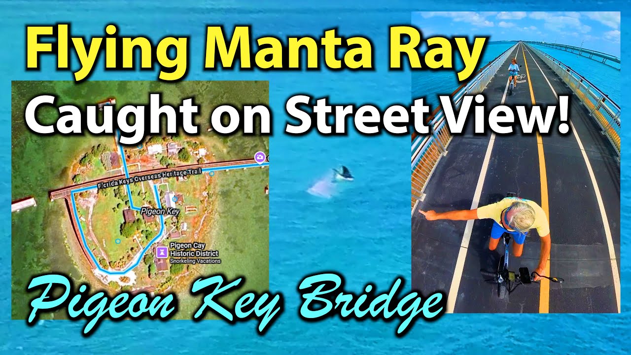 Flying Manta Ray Caught on Street View in my Pigeon Key Bridge 4K Video Tour!