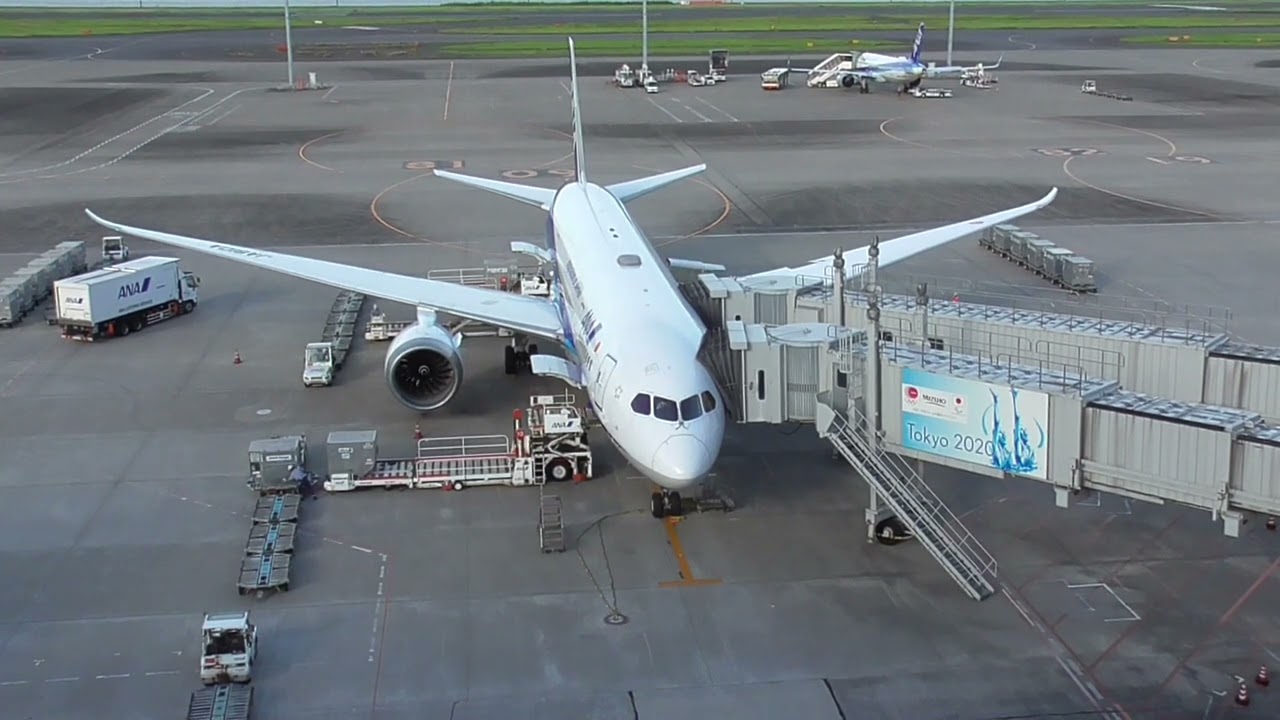 B787-8　グランドハンドリング　羽田空港
