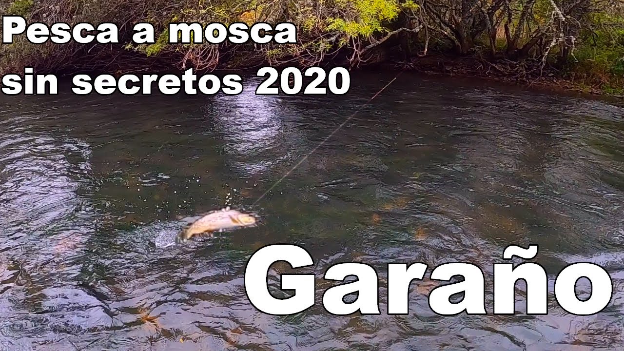 🎣 Pesca a mosca sin secretos Garaño 2020 🐟