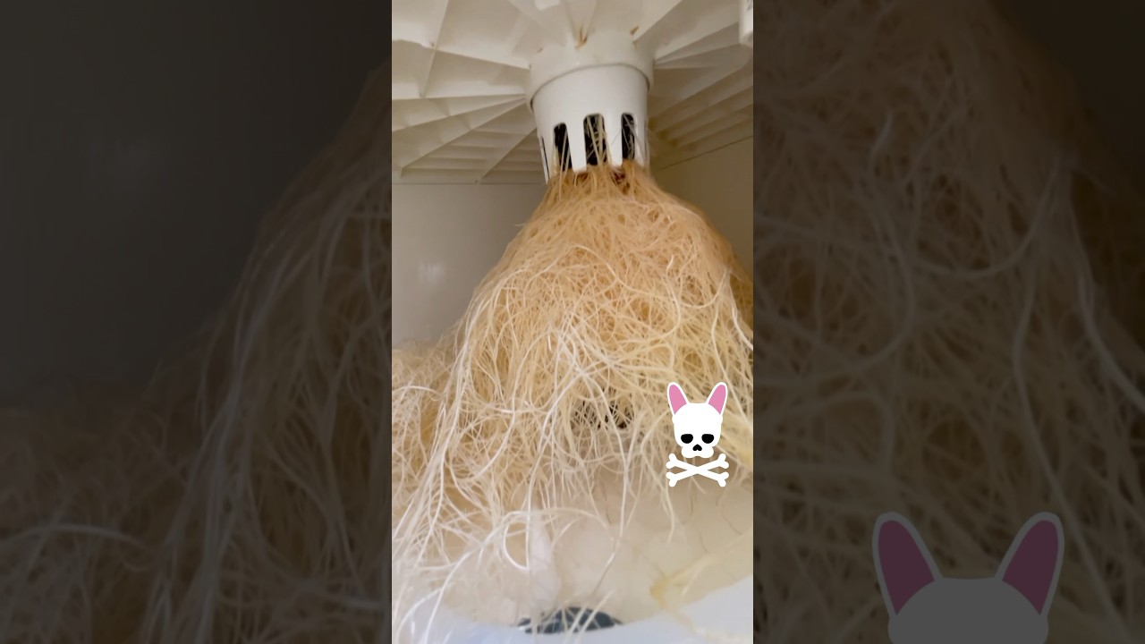 VGrow - Vivosun - DWC - Deep Water Culture - Hydroponics Grow Kit