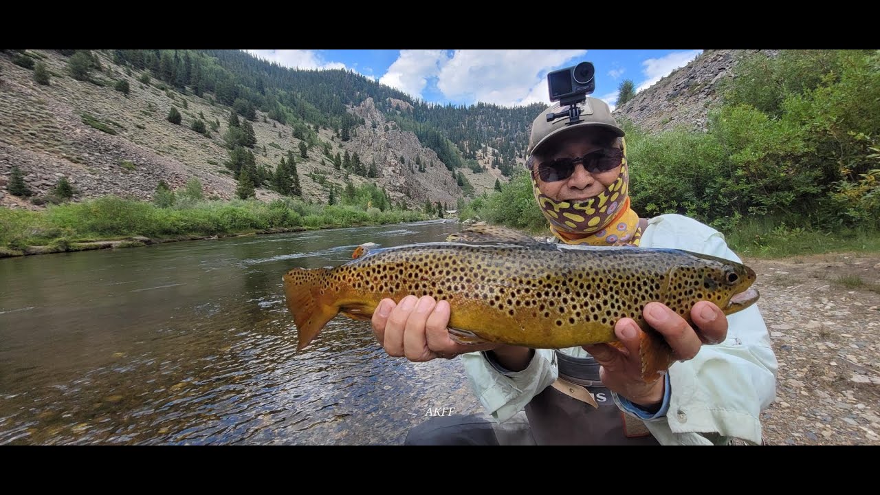 Taylor River Tailwater Trout Is Not So Difficult to Catch part 3 Final Video Aug 2025