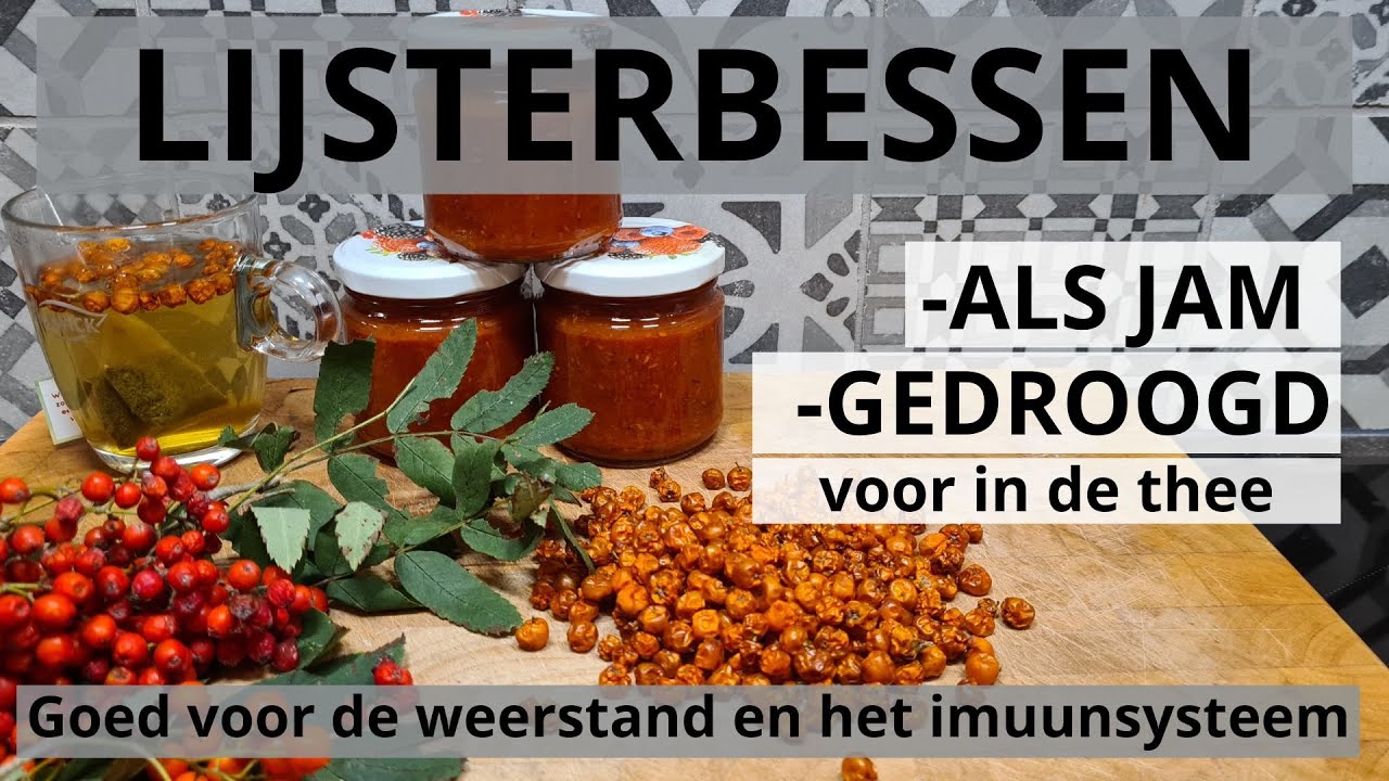 Lijsterbessenjam en Gedroogd| Goed voor de Weerstand en het Immuunsysteem
