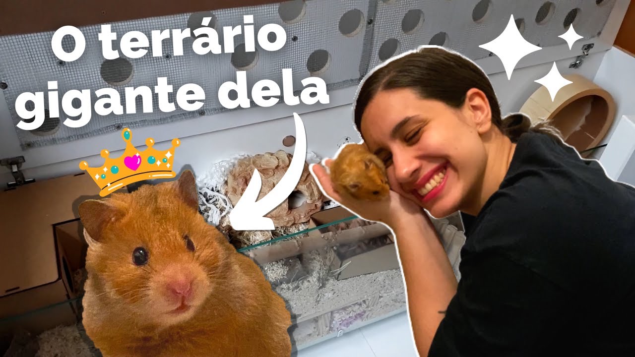 Montando um TERRÁRIO NATURALISTA pro meu hamster 🐹🌾