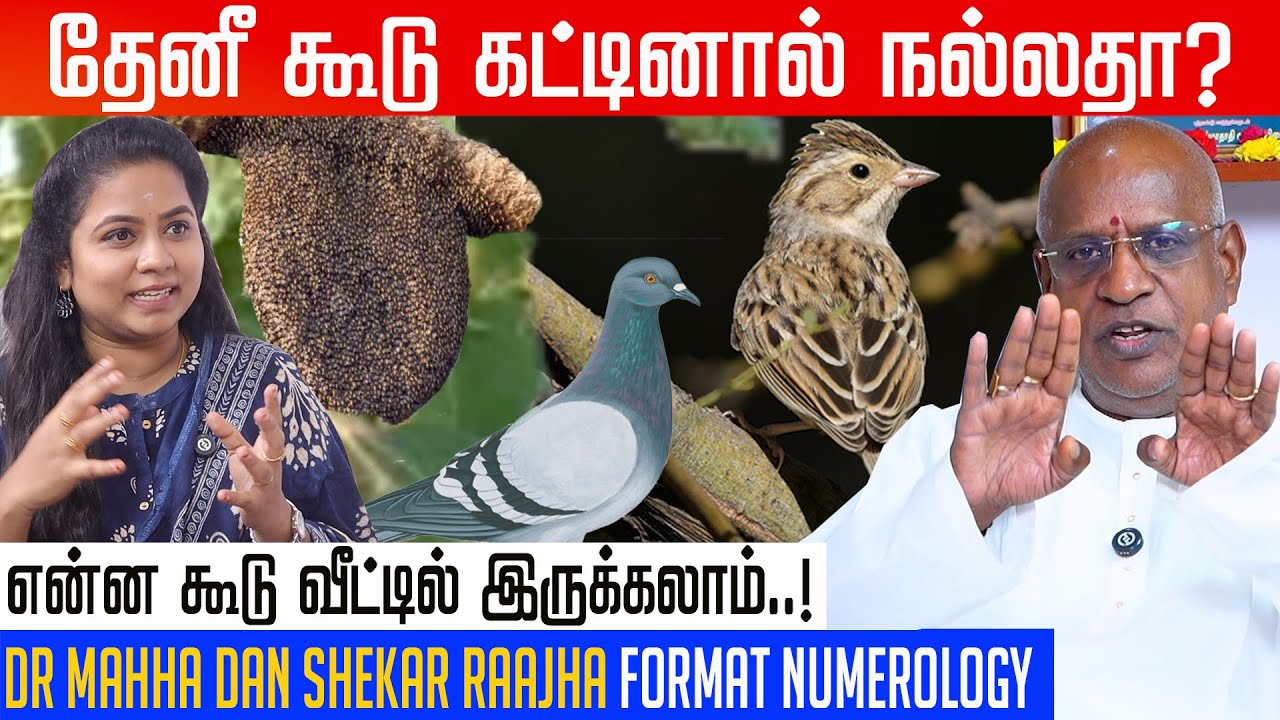 புறாவின் சத்தம் தினமும் கேட்டால் நடக்கும் நல்லது..! | Dr Mahha Dan Shekar Raajha | #birds #sounds 