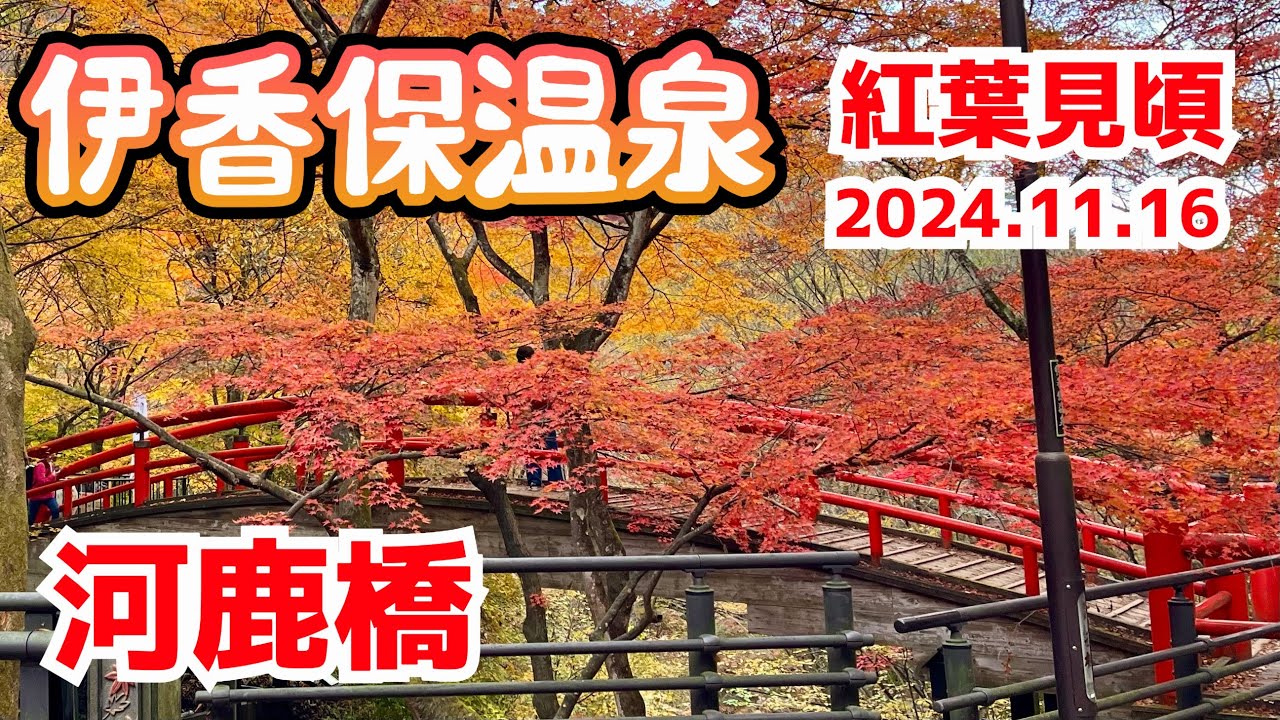 【群馬県 伊香保温泉】紅く染まった河鹿橋は圧巻。温泉街のもみじもサイコー! 穴場紅葉スポットも紹介します。＃群馬県 ＃渋川市 #伊香保温泉  #紅葉2024