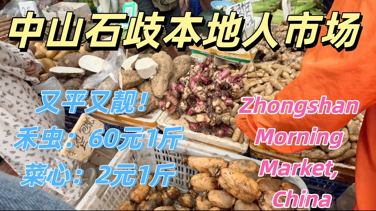 中山本地人生活！带你逛中山石歧本地人市场！又平又靓！禾虫：60元1斤！菜心：2元1斤！猪肉干超抵买！中山生活物价！广东中山！早市|市集|集市|生活China|zhongshan|market旅游|酒店